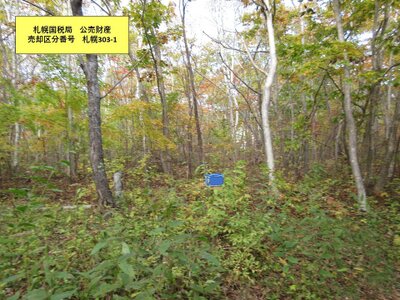 (値下げ) 北海道茅部郡鹿部町 鹿部駅11分 土地 24万円の国税庁公売物件 #2