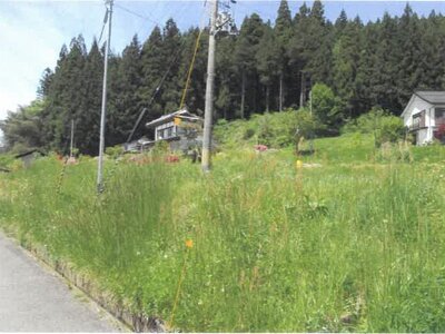 福島県東白川郡鮫川村 中豊駅 土地 107万円の競売物件 #4