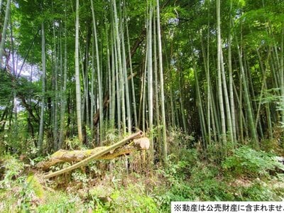 (値下げ) 栃木県那須郡那須町 黒田原駅 土地 24万円の国税庁公売物件 #1