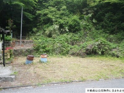 埼玉県秩父郡皆野町 皆野駅 土地 47万円の国税庁公売物件 #1