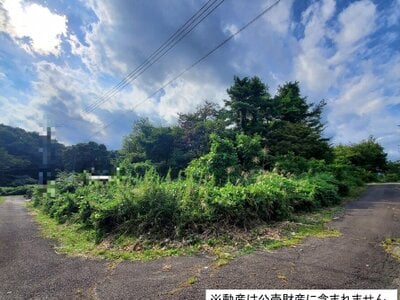 (値下げ) 栃木県那須郡那須町 黒田原駅 土地 49万円の国税庁公売物件 #1