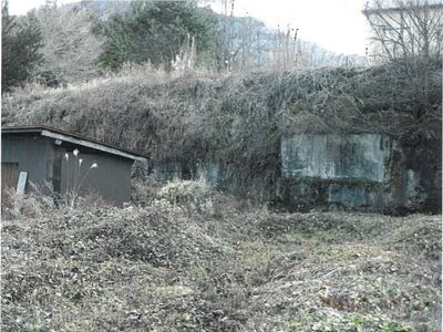 (値下げ) 長野県木曽郡木曽町 原野駅15分 土地 158万円の競売物件 #2