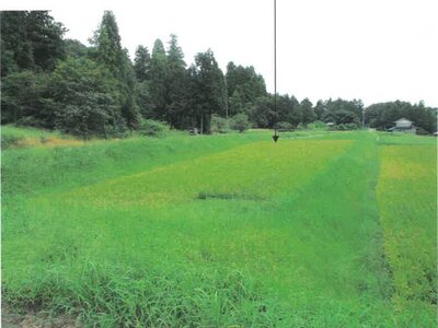 富山県富山市 千里駅 農地 1万円の競売物件 #4