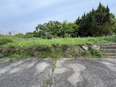 兵庫県洲本市 土地 50万円の官公庁公売物件 #2