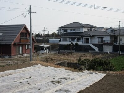 長崎県島原市 大三東駅7分 農地 75万円の官公庁公売物件 #5