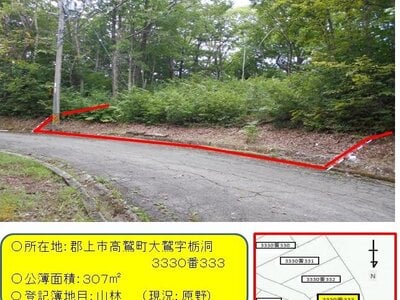 岐阜県郡上市 北濃駅 土地 83万円の官公庁公売物件 #1