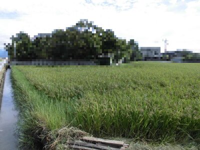 富山県富山市 西滑川駅19分 農地 1,830万円の官公庁公売物件 #3