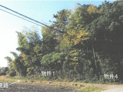 栃木県塩谷郡高根沢町 仁井田駅 一戸建て 147万円の競売物件 #2