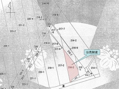 (値下げ) 滋賀県長浜市 田村駅17分 農地 36万円の国税庁公売物件 #2