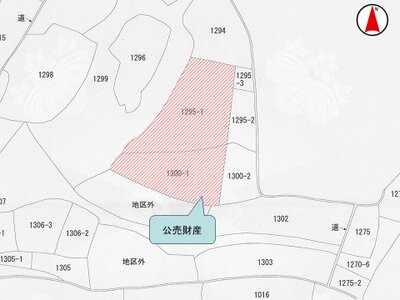 兵庫県南あわじ市 土地 38万円の国税庁公売物件 #2