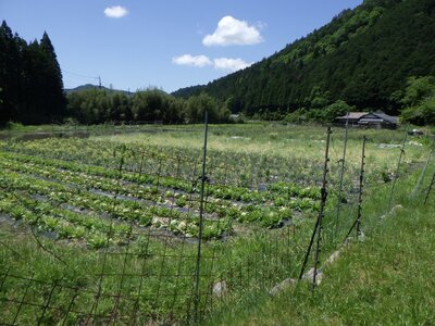 京都府京都市左京区 おごと温泉駅 農地 181万円の国税庁公売物件 #1