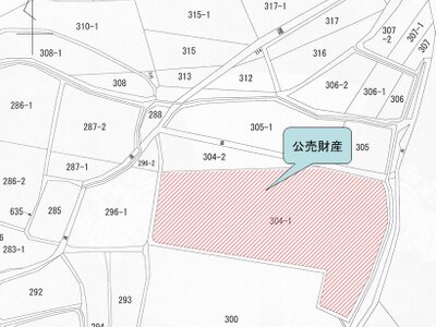 京都府京都市左京区 おごと温泉駅 農地 181万円の国税庁公売物件 #2