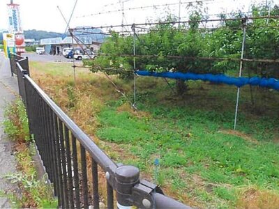 (値下げ) 福島県福島市 医王寺前駅12分 土地 375万円の競売物件 #4