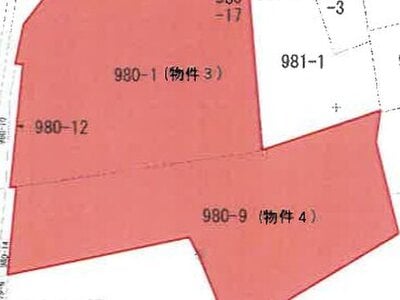 新潟県佐渡市 土地 125万円の競売物件 #4