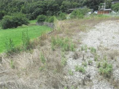 福岡県太宰府市 太宰府駅27分 土地 257万円の競売物件 #3