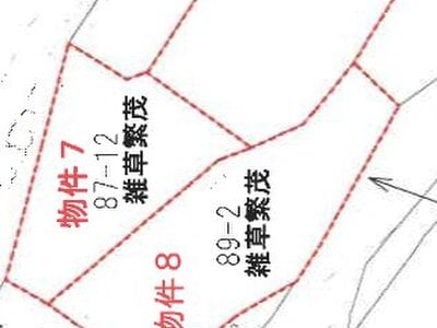 香川県綾歌郡綾川町 羽床駅20分 農地 89万円の競売物件 #5