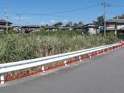 奈良県奈良市 大和西大寺駅13分 土地 7,290万円の官公庁公売物件 #2