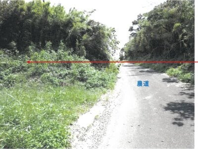 鹿児島県熊毛郡中種子町 土地 52万円の競売物件 #13