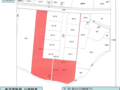 富山県黒部市 電鉄黒部駅10分 農地 218万円の国税庁公売物件 #7