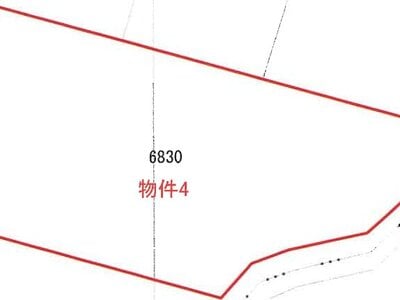 (値下げ) 新潟県阿賀野市 馬下駅 土地 148万円の競売物件 #3