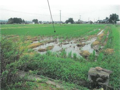 富山県滑川市 東滑川駅 農地 30万円の競売物件 #1