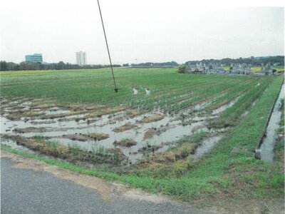 富山県滑川市 東滑川駅 農地 30万円の競売物件 #3