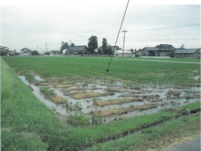 (値下げ) 富山県滑川市 東滑川駅 農地 39万円の競売物件 #2