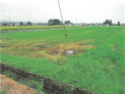 (値下げ) 富山県滑川市 東滑川駅 農地 34万円の競売物件 #1