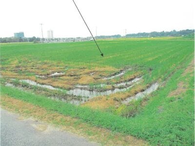 (値下げ) 富山県滑川市 東滑川駅 農地 34万円の競売物件 #3