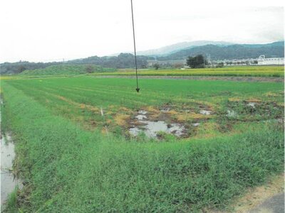 (値下げ) 富山県滑川市 東滑川駅 農地 34万円の競売物件 #4