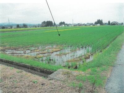 (値下げ) 富山県滑川市 東滑川駅 農地 33万円の競売物件 #1