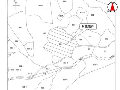 新潟県長岡市 北条駅 土地 5万円の国税庁公売物件 #1