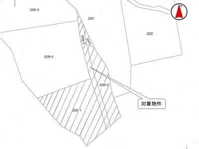 新潟県長岡市 越後滝谷駅24分 土地 12万円の国税庁公売物件 #2