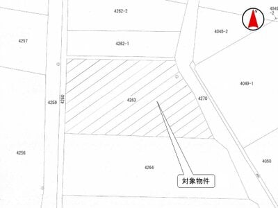 長野県南佐久郡佐久穂町 馬流駅 農地 51万円の国税庁公売物件 #3