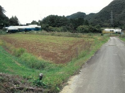 長野県南佐久郡佐久穂町 馬流駅 農地 53万円の国税庁公売物件 #1