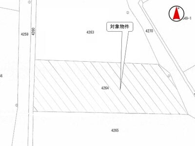 長野県南佐久郡佐久穂町 馬流駅 農地 53万円の国税庁公売物件 #3