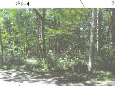 栃木県那須郡那須町 土地 116万円の競売物件 #2