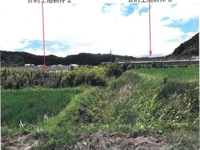 宮崎県宮崎市 農地 165万円の競売物件 #8