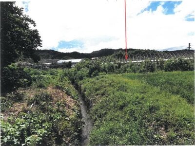 宮崎県宮崎市 農地 165万円の競売物件 #9