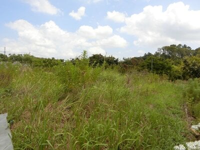 奈良県北葛城郡王寺町 畠田駅5分 農地 25万円の国税庁公売物件 #1