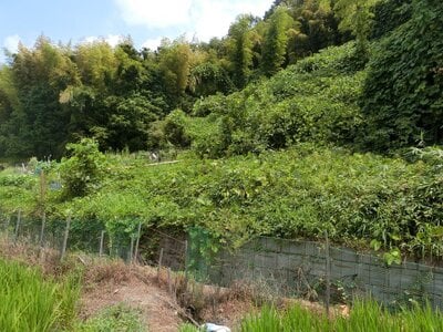 奈良県北葛城郡王寺町 畠田駅5分 農地 68万円の国税庁公売物件 #1