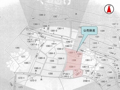 (値下げ) 大阪府泉南郡岬町 深日町駅6分 農地 121万円の国税庁公売物件 #2