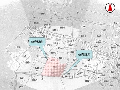 (値下げ) 大阪府泉南郡岬町 深日町駅6分 農地 122万円の国税庁公売物件 #2