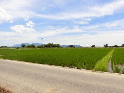 奈良県天理市 長柄駅24分 農地 149万円の国税庁公売物件 #1