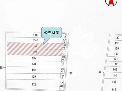 奈良県天理市 長柄駅24分 農地 149万円の国税庁公売物件 #2