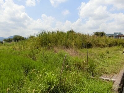 奈良県北葛城郡王寺町 畠田駅5分 農地 306万円の国税庁公売物件 #1