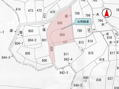 大阪府茨木市 豊川駅30分 農地 494万円の国税庁公売物件 #2