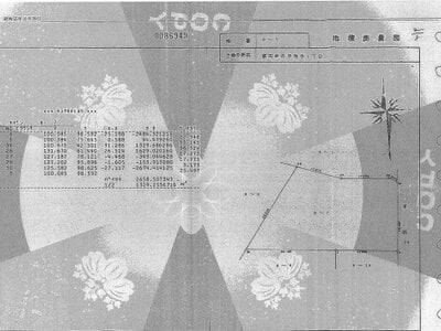 大阪府富田林市 金剛駅8分 農地 1億1,690万円の国税庁公売物件 #3