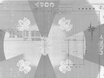 大阪府富田林市 金剛駅8分 農地 1億1,690万円の国税庁公売物件 #5