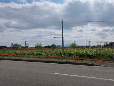 (値下げ) 北海道雨竜郡妹背牛町 妹背牛駅9分 土地 428万円の国有財産物件 #1